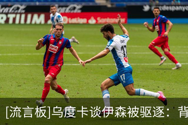 [流言板]乌度卡谈伊森被驱逐：背后推人属于犯规，但我惊讶判罚升级
